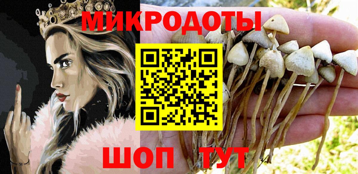 Псилоцибиновые грибы мухоморы  Вход с VPN  Кизляр 